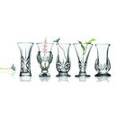 Set of five clear crystal bud vases from the Godinger Dublin Collection with delicate flowers inside each vase