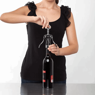 Easy Corkscrew & Wine Bottle Opener, Stainless Steel