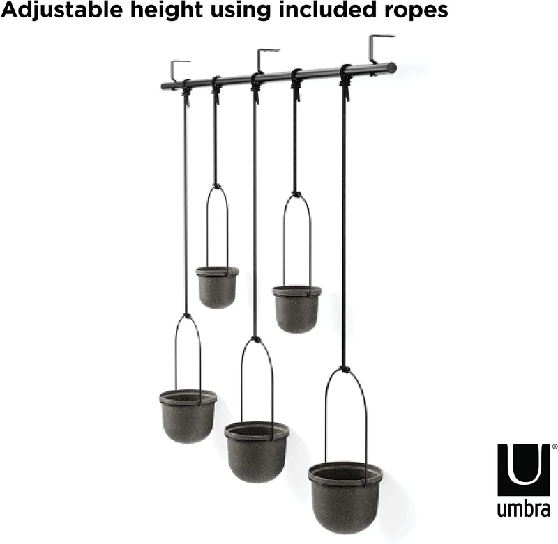 Umbra Triflora Hanging Planter, Set of 5, Black