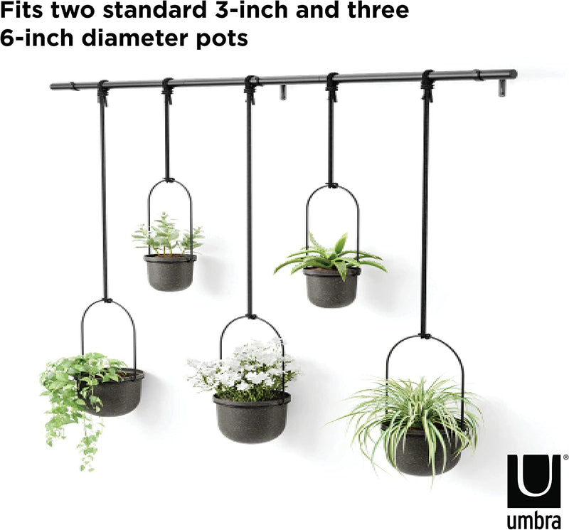 Umbra Triflora Hanging Planter, Set of 5, Black