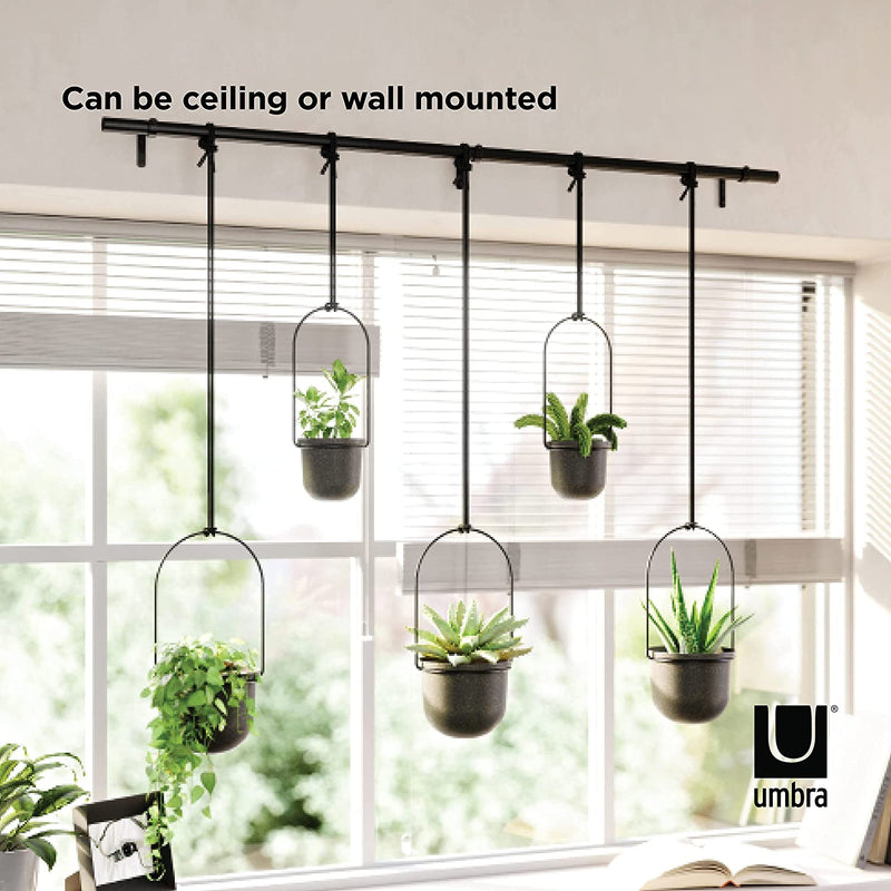 Umbra Triflora Hanging Planter, Set of 5, Black