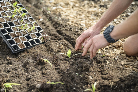  Compact digital water timer with an LCD screen and control buttons, designed for automated garden irrigation
