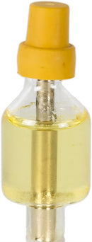 A small, clear glass Hanukkah oil cup candle pre-filled with yellow olive oil, topped with a brass wick holder and a yellow protective rubber stopper.