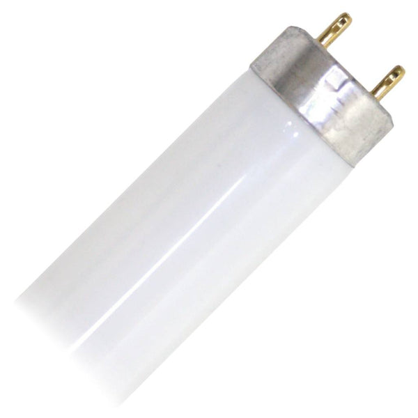T8 4ft Bulb fluorescent (Thin)