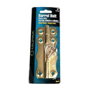 Brass-plated 5-inch barrel bolt with mounting screws displayed on a white background.