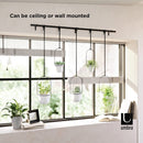 Umbra Triflora 5-piece white hanging planter set displayed by a window