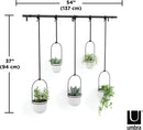 Umbra Triflora 5-piece white hanging planter set displayed with dimensions on a white background.