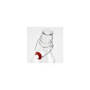 8.5oz Swing Top Bottle, Set of 12