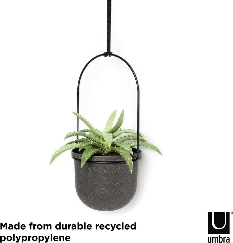 Umbra Triflora Hanging Planter, Set of 5, Black