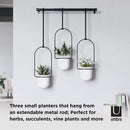 Umbra Triflora Hanging Planter, for Succulents, Herbs and Other Small Plants, Triple, White/Black