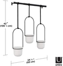 Umbra Triflora Hanging Planter, for Succulents, Herbs and Other Small Plants, Triple, White/Black