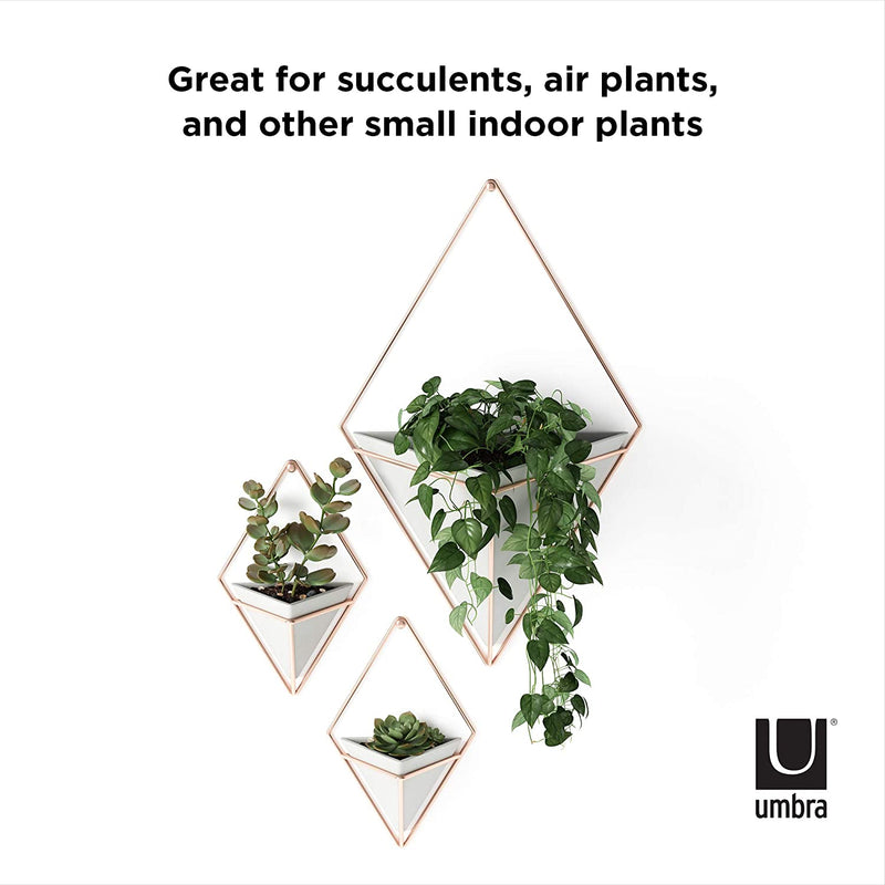 Umbra Trigg Hanging Planter Vase & Geometric Wall Decor Ceramic, Great For Succulent Plants, Concrete/Copper