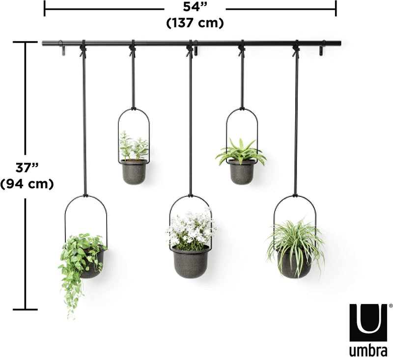 Umbra Triflora Hanging Planter, Set of 5, Black