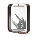 Umbra Bellwood Desk Frame 5" x 7", Aged Walnut
