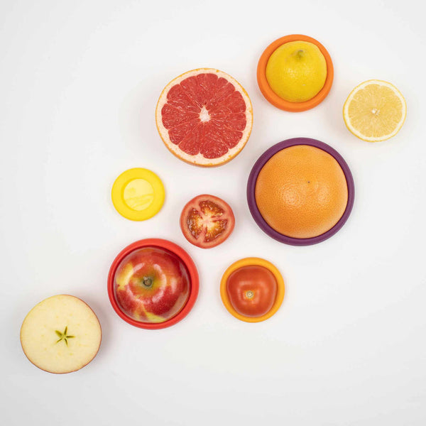 Food Huggers Set of 5 Autumn Harvest