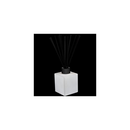 Close-up of the Trapp No. 20 Water Reed Diffuser bottle with reeds inserted, showcasing its modern and minimalist design.