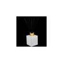 Trapp No. 04 Orange Vanilla Reed Diffuser with black reeds and a gold cap, displayed against a dark background.