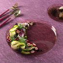 10.25-inch modern transparent rose walled dinner plate with a sleek round design. A stylish and elegant choice for contemporary table settings, perfect for events and special occasions.