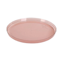10.25-inch modern transparent rose walled dinner plate with a sleek round design. A stylish and elegant choice for contemporary table settings, perfect for events and special occasions.