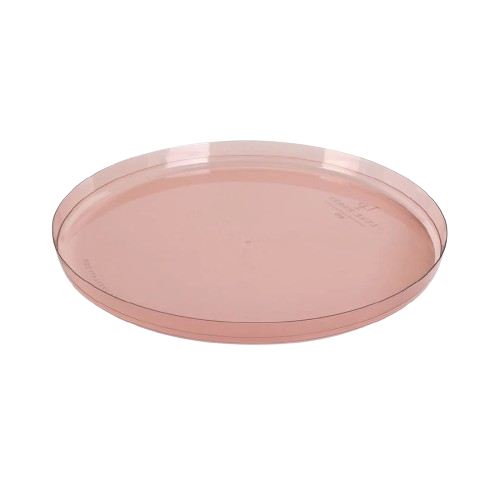 10.25-inch modern transparent rose walled dinner plate with a sleek round design. A stylish and elegant choice for contemporary table settings, perfect for events and special occasions.