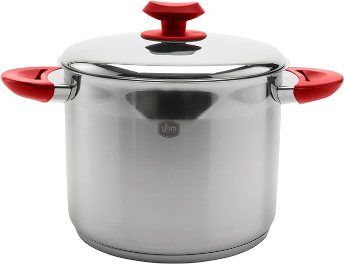 9-quart polished stainless steel stockpot with red heat-resistant handles and matching stainless steel lid on a white background.