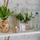 Bottle of Lavender scented reed diffuser oil.