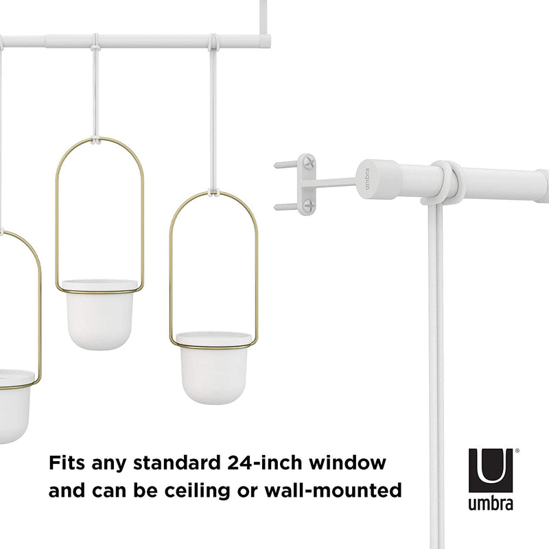 Umbra 1011748-524 Triflora Hanging Planters for Indoor Plants or Herbs, White/Brass,42" Width