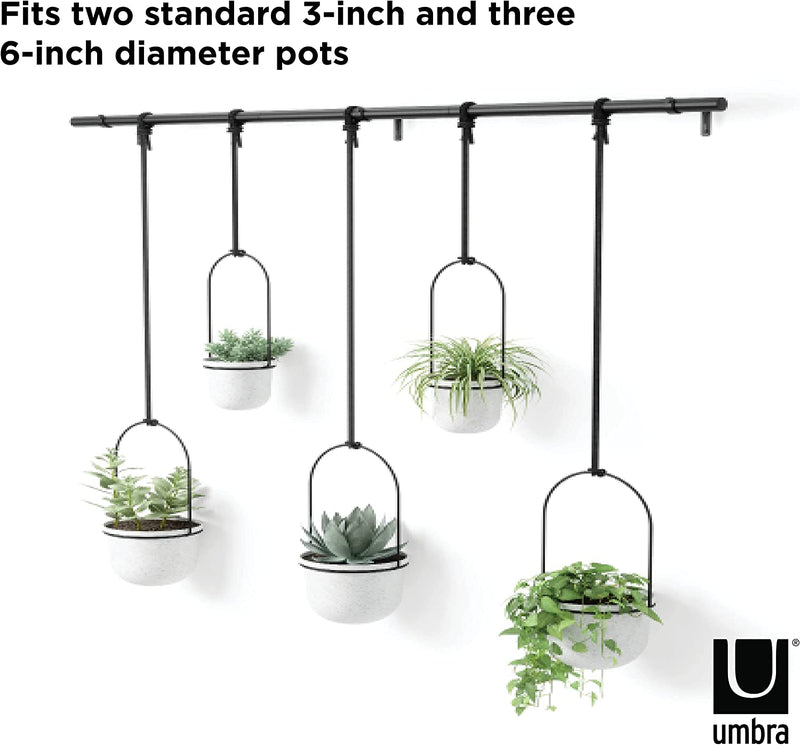 Umbra Triflora Hanging Planter, Set of 5, White