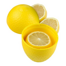 Hutzler Lemon Saver