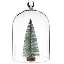 TRAPP Clear Glass Display Dome Cloche Bell Jar