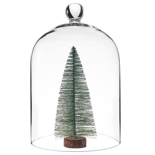 TRAPP Clear Glass Display Dome Cloche Bell Jar