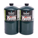 Two Bernzomatic 16 oz green camping gas cylinders standing upright side by side on a white background.