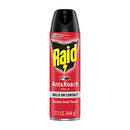Raid Ant & Roach Killer red spray can, 17.5 oz size with Outdoor Fresh labeling and black cap on a white background.