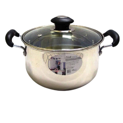 5qt Stainless Steel Pot with Glass Lid