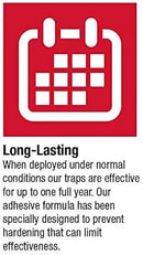 A red and blue cardboard box containing Catchmaster Pro Strength Mouse & Insect Glue Boards. The box clearly displays the brand name "CATCHMASTER" in large white letters and "PRO STRENGTH" below it. The product is labeled as "MOUSE & INSECT GLUE BOARDS" in English and French.