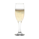 Misket Champagne Glass 6pk