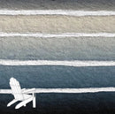 Adirondack Eve Disposable Charger (24pc)