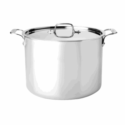 12.5qt Stainless Steel Stock Pot