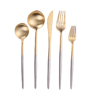 Vera Gold/Silver Cutlery 20pc Set