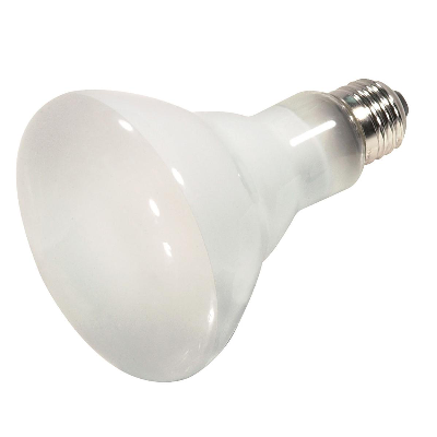 BR30 65W Indoor Halogen Reflector Bulb