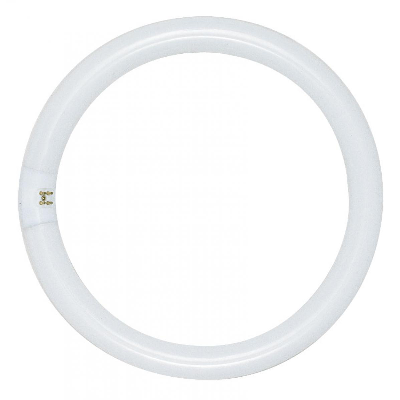 8" Circline Cool White Bulb