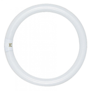 Round fluorescent tube light with a white finish and a four-pin connector on one side. Designed for circular light fixtures, providing bright and efficient illumination for various indoor spaces.