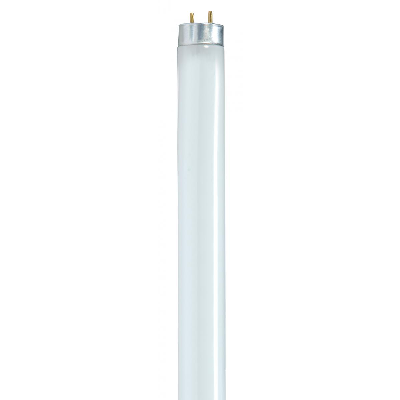T8 4ft Bulb fluorescent (Thick)