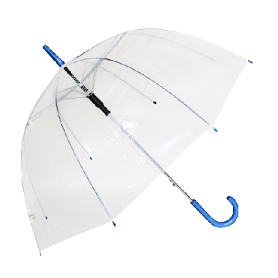 Clear Umbrella Blue Handle