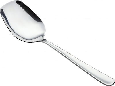 10.8-inch premium stainless steel serving spoons with a sleek polished finish displayed on a white background.