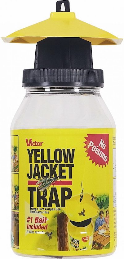 Yellow Jacket Fly Trap