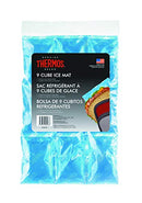 A clear plastic package containing a blue gel ice mat divided into nine flexible cubes, with the Thermos logo on the label.